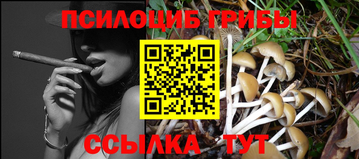 Сатка  Галлюциногенные грибы Cubensis  Вход с VPN 